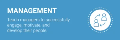 DiSC Assessment - Management Team